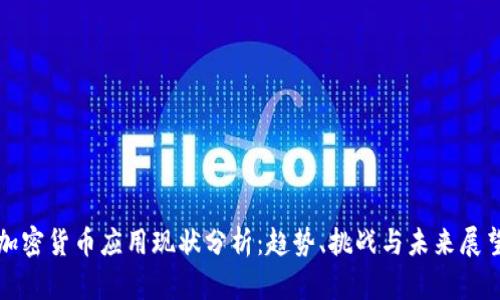 加密货币应用现状分析：趋势、挑战与未来展望