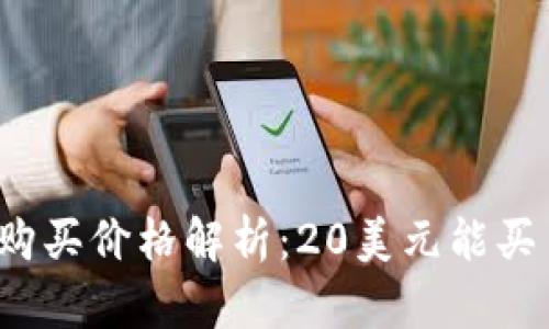 今日狗狗币购买价格解析：20美元能买多少狗狗币？