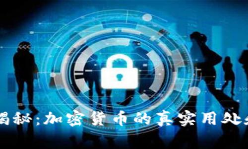 专家独家揭秘：加密货币的真实用处和未来潜力