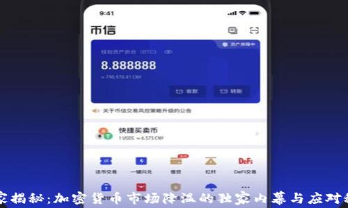 
专家揭秘：加密货币市场降温的独家内幕与应对秘诀