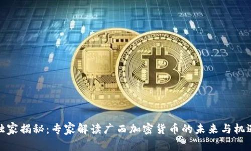 独家揭秘：专家解读广西加密货币的未来与机遇