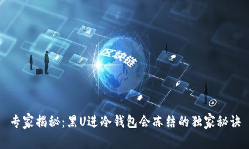 专家揭秘：黑U进冷钱包会冻结的独家秘诀