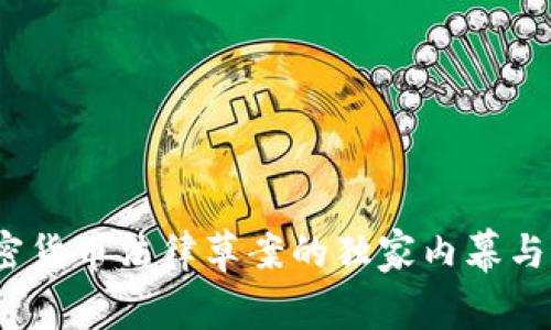 专家解析：加密货币法律草案的独家内幕与未来发展秘诀