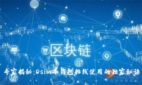专家揭秘：Dsim冷钱包排线使用的独家秘诀