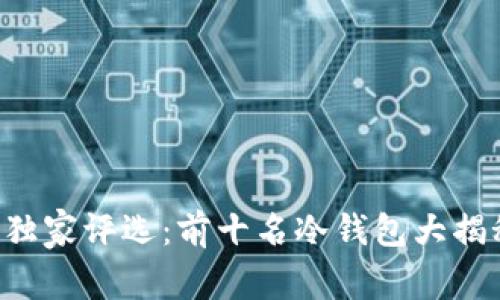 2023年冷钱包专家独家评选：前十名冷钱包大揭秘，安全存储的秘诀！