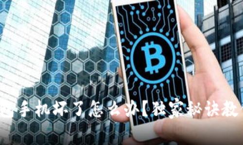 专家揭秘：冷钱包手机坏了怎么办？独家秘诀教你安全恢复资产