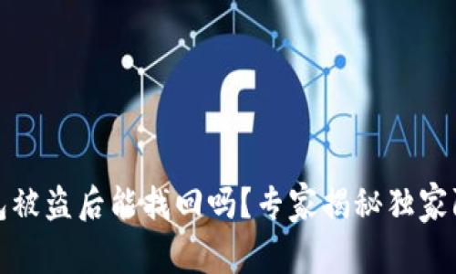 数字钱包被盗后能找回吗？专家揭秘独家防盗秘诀