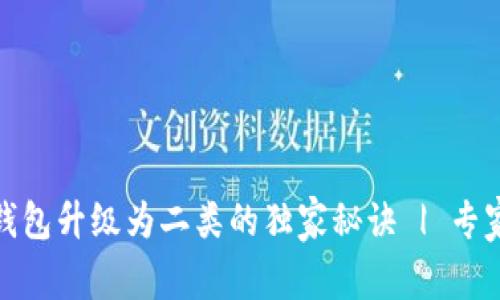 数字钱包升级为二类的独家秘诀 | 专家建议