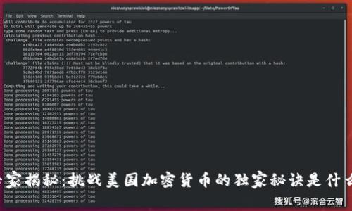 专家揭秘：挑战美国加密货币的独家秘诀是什么？