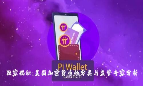 独家揭秘：美国加密货币的分类与监管专家分析