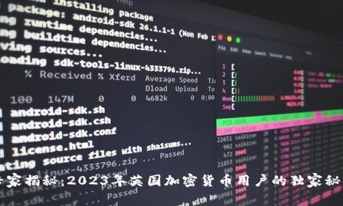 专家揭秘：2023年英国加密货币用户的独家秘诀