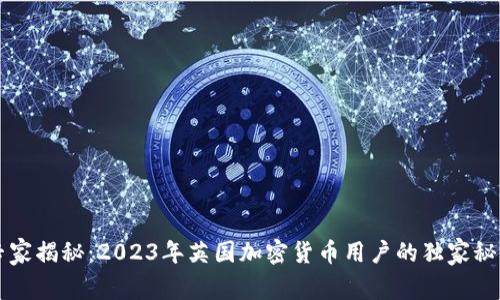专家揭秘：2023年英国加密货币用户的独家秘诀