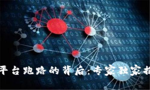 揭秘虚拟币平台跑路的背后：专家独家揭秘防范秘诀