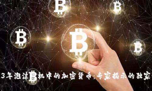 2023年泡沫危机中的加密货币：专家揭示的独家秘诀