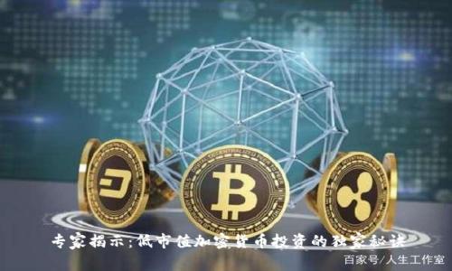 专家揭示：低市值加密货币投资的独家秘诀