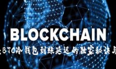 专家分享：BTC冷钱包到账延迟的独家秘诀与解决