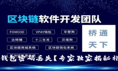 库神冷钱包密码丢失？专家独家揭秘补救秘诀