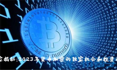 专家揭秘：2023年货币加密的独家机会和投资秘诀