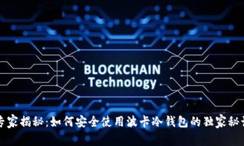 专家揭秘：如何安全使用波卡冷钱包的独家秘诀