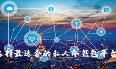 专家揭秘：如何选择最适合的私人冷钱包平台？