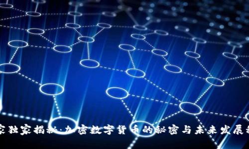专家独家揭秘：加密数字货币的秘密与未来发展秘诀