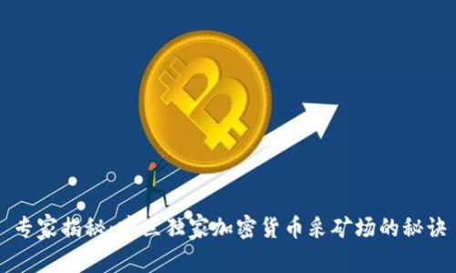 专家揭秘：建立独家加密货币采矿场的秘诀