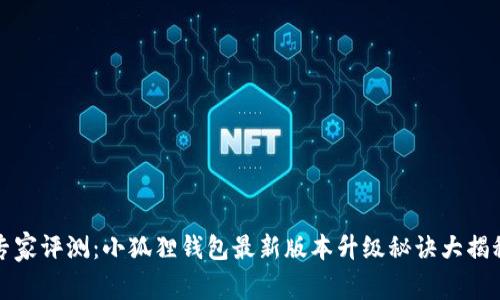 专家评测：小狐狸钱包最新版本升级秘诀大揭秘