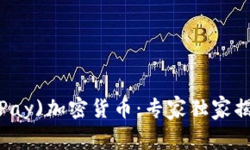 元支付(YuanPay)加密货币：专家独家揭秘背后的秘诀