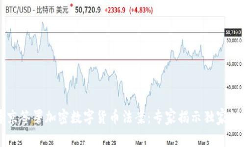 普京签署加密数字货币法案：专家揭示独家秘诀