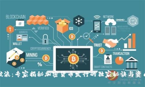 乘风破浪：专家揭秘加密货币发行的独家秘诀与资质要求