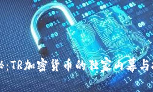 专家揭秘：TR加密货币的独家内幕与投资秘诀