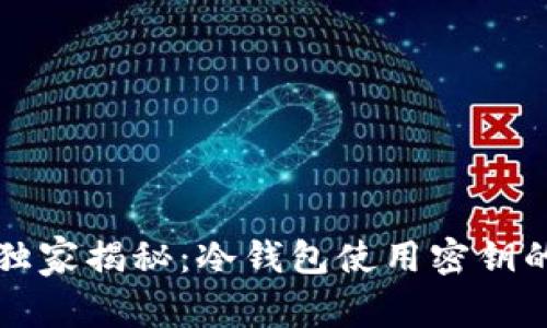 专家独家揭秘：冷钱包使用密钥的秘诀