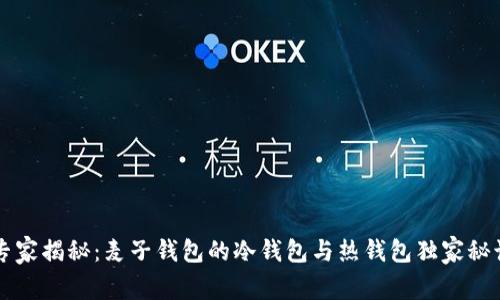专家揭秘：麦子钱包的冷钱包与热钱包独家秘诀