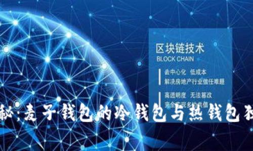 专家揭秘：麦子钱包的冷钱包与热钱包独家秘诀