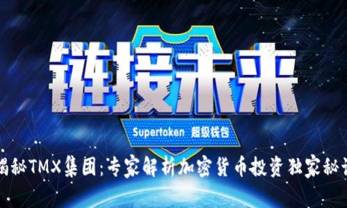 揭秘TMX集团：专家解析加密货币投资独家秘诀