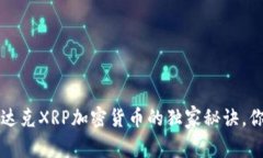 专家解析：纳斯达克XRP加密货币的独家秘诀，你