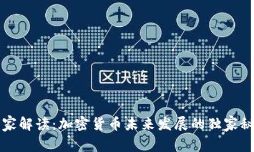 专家解读：加密货币未来发展的独家秘诀