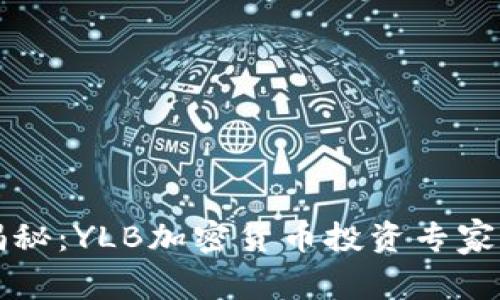 独家揭秘：YLB加密货币投资专家的秘诀