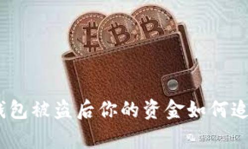专家揭秘：OKPay钱包被盗后你的资金如何追回？独家秘诀分享！
