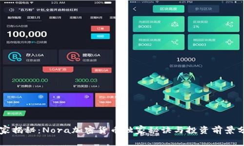 专家揭秘：Nora加密货币独家秘诀与投资前景分析