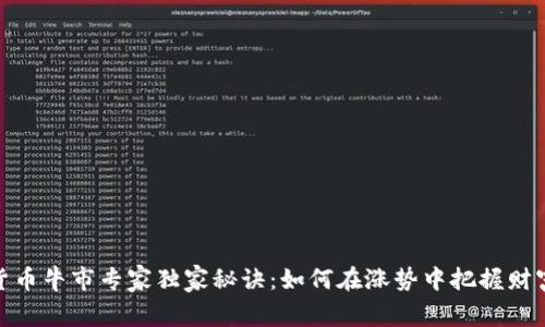 加密货币牛市专家独家秘诀：如何在涨势中把握财富机会