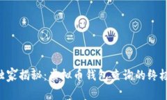 专家独家揭秘：虚拟币钱包查询的终极秘诀！