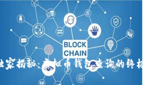 专家独家揭秘：虚拟币钱包查询的终极秘诀！