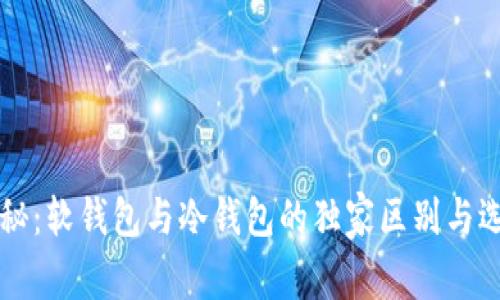 专家揭秘：软钱包与冷钱包的独家区别与选择秘诀