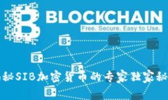 揭秘SIB加密货币的专家独家秘诀