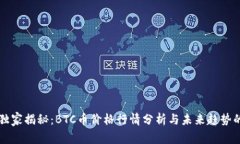 专家独家揭秘：BTC币价格行情分析与未来趋势的