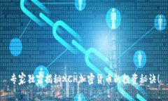 专家独家揭秘XCH加密货币的投资秘诀！
