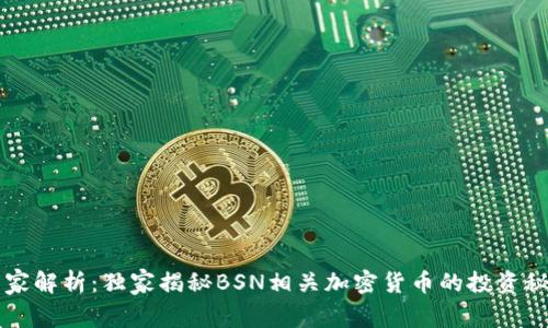 专家解析：独家揭秘BSN相关加密货币的投资秘诀