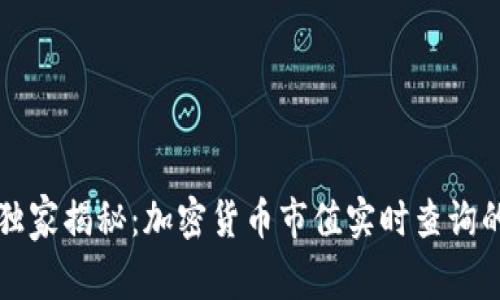 专家独家揭秘：加密货币市值实时查询的秘诀