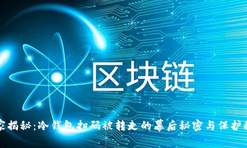 独家揭秘：冷钱包扫码被转走的幕后秘密与保护秘诀